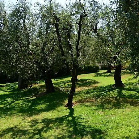 Corte Stefani Alloggio per agriturismo *