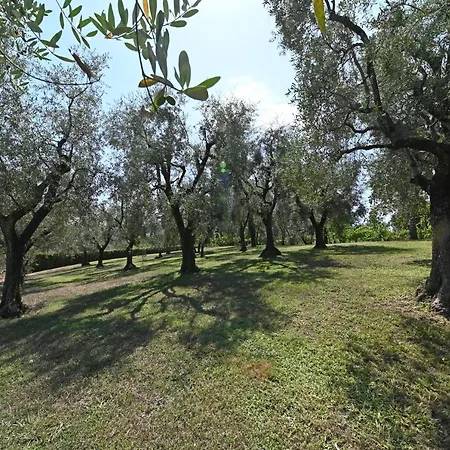 Farm stay Corte Stefani Capannori