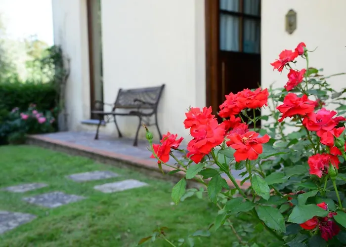 Corte Stefani カパンノリ