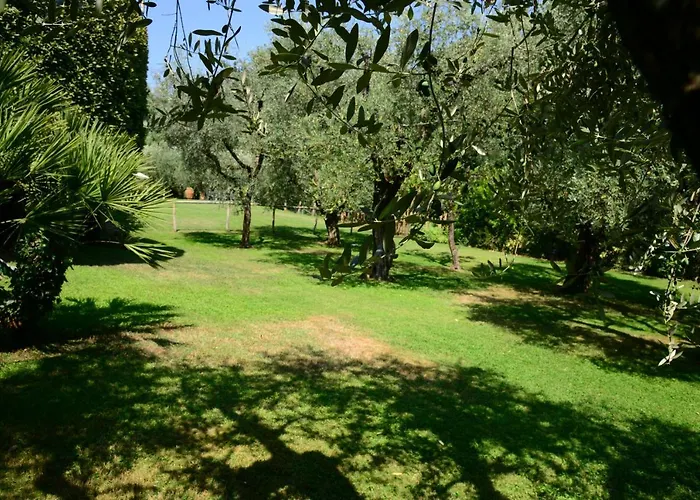 Corte Stefani * カパンノリ